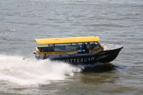 IMG 3681