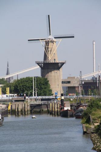 IMG 3705