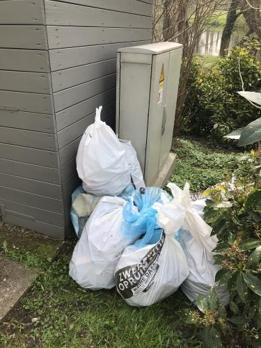 IMG 1910