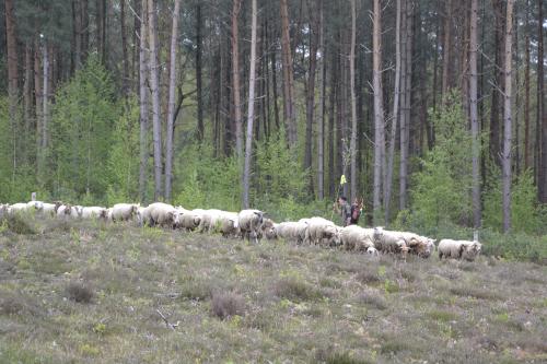 wandeling-kwb-11