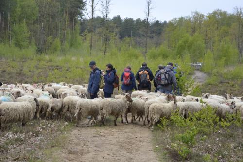 wandeling-kwb-17