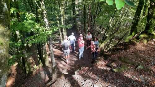 IMG-20231007-WA0066